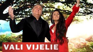 Vali Vijelie ❌ Ana Cristina Cirstea - Mai da-mi o viata (Melodii de Petrecere) 2024