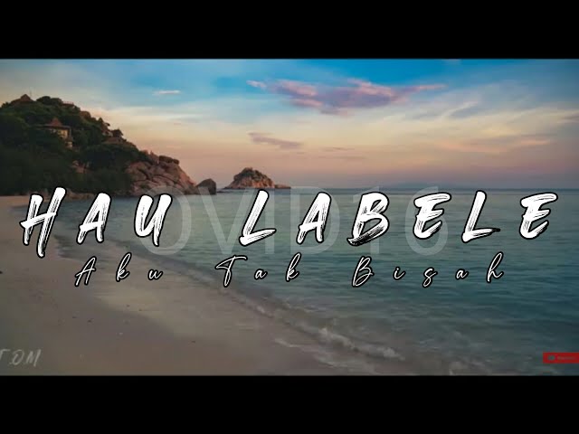HAU LABELE - OVID16 || Video Lyrics Terjemahan (Musik Timor Leste) class=