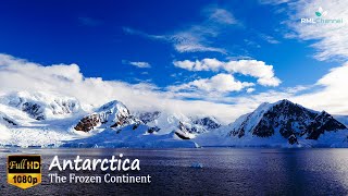 Antarctica - The Frozen Continent - 🎵Sleep Music🎵Relaxing Music🎵Healing Music🎵Stress Relief Music by RELAXATION MEDITATION LAB CHANNEL 12,385 views 3 years ago 1 hour