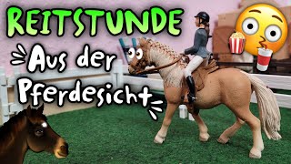 Pferd Ausgebrochen? Reitstunde Aus Der Sicht Der Pferde Reitunterricht