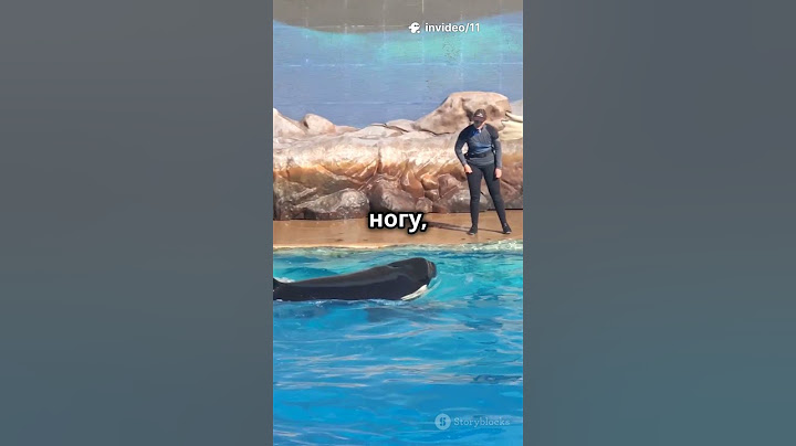 Касатка напала на дрессировщика прямо во время шоу!😱🐋