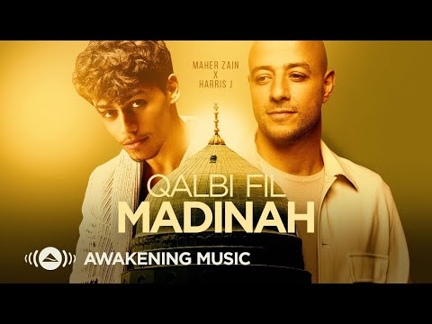           قلبي في المدينة