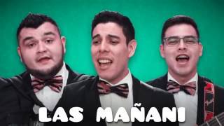 Video thumbnail of "Las Mañanitas Para Papá - Los Tres TristesTigres"