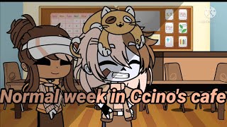 normal week in Ccinos cafe//gacha club//Omegaverse//