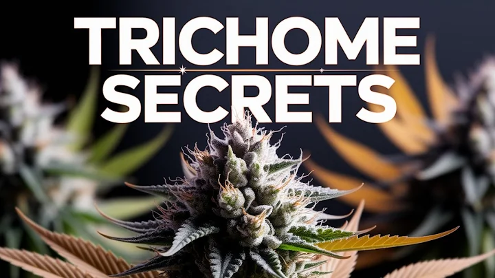 10 Genius Tips on Signs Your Plants Are Ready to Harvest!