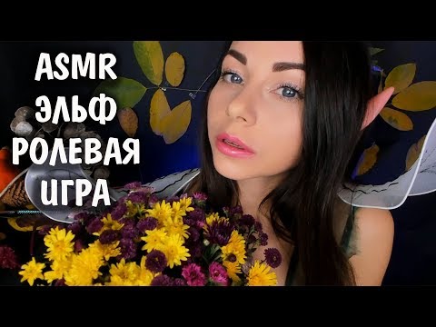 Elf Asmr