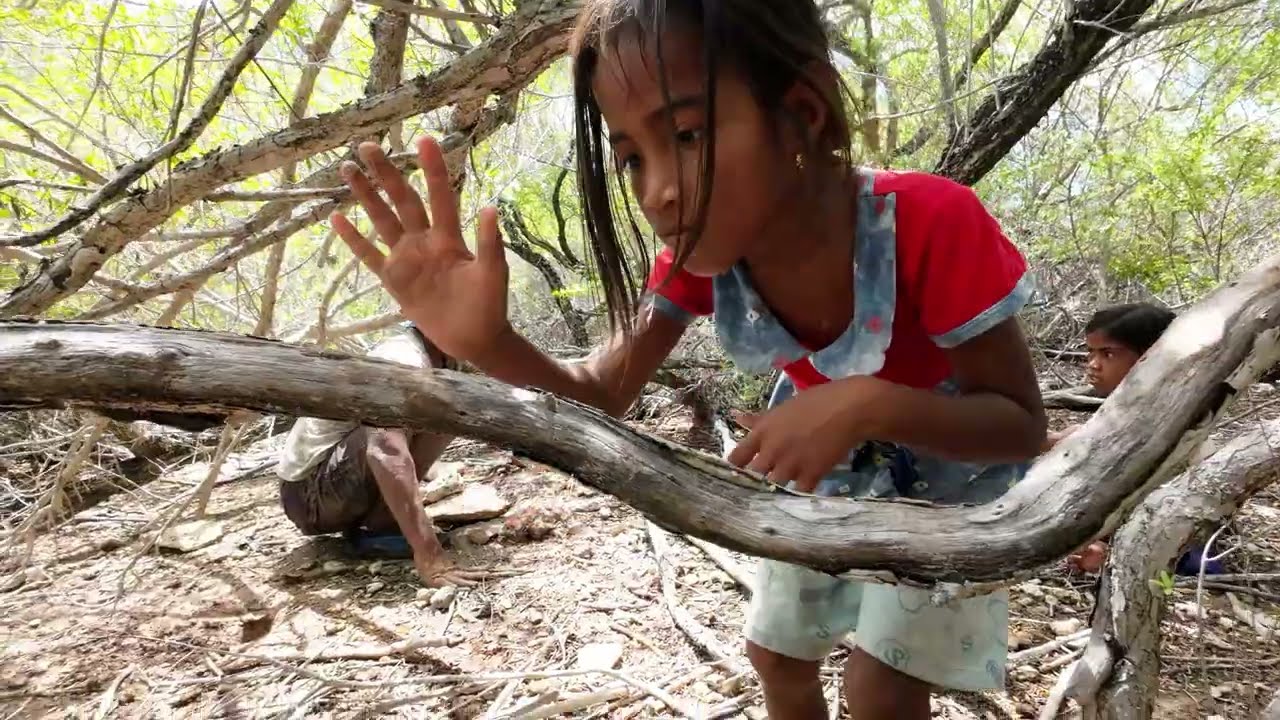 Catching and cooking Mud Crab of Beru