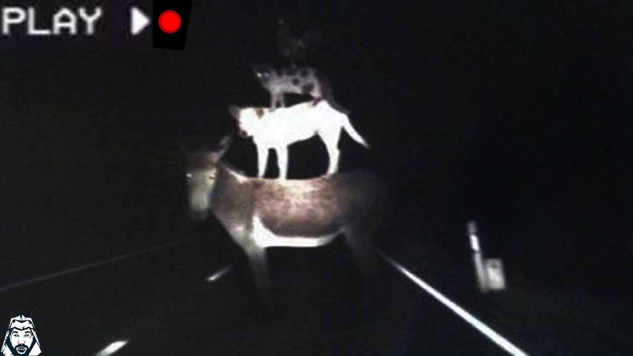 3 Scary Things That Have Happened Around The World YouTube