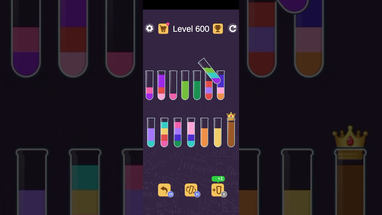 water bottles game play, 💐🌹✨ zp509 