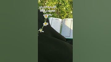 القران الكريم بصوت جميل جدا#الدين #اكسبلور#المصحف#القرءن #راحة_نفسية