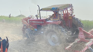 MF 385 4x4 chisel dangerous stunt: mf 385 4x4 pull 11 tine chisel :Excellent performance🥹🥹🥹