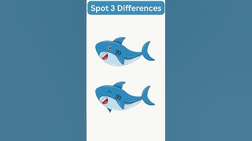 Find 3 Differences in Just 30 Seconds