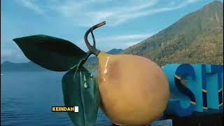 Pulau siau,,, kabupaten SITARO