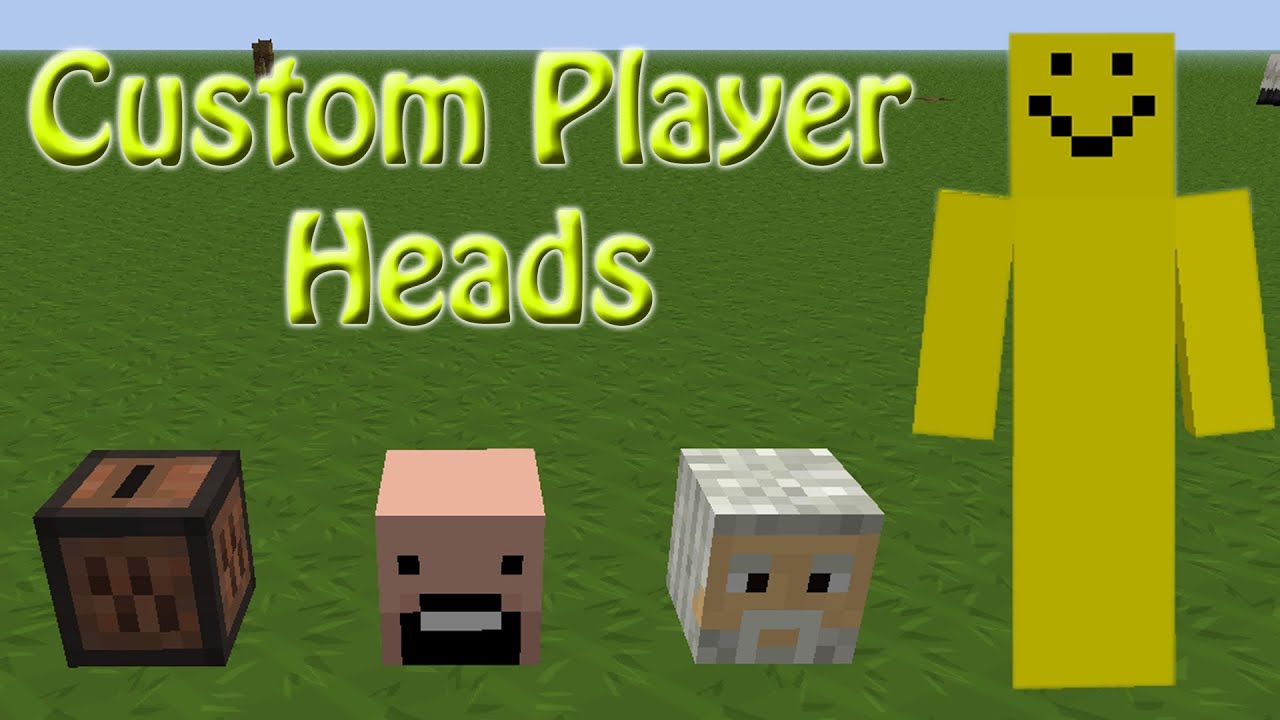 Minecraft: Custom Skulls/Player Heads with NBTedit [Tutorial] - YouTube