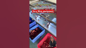 Lychee sorting machine