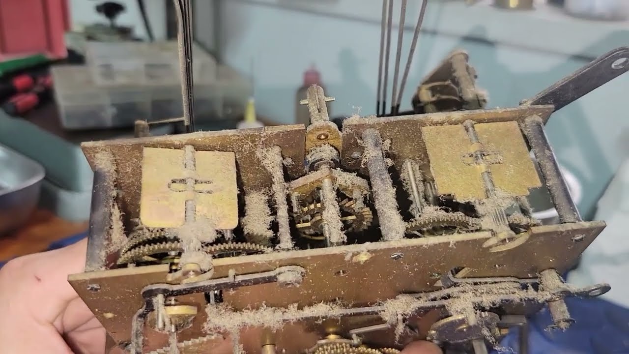 Khám od0 54 có bụi tây