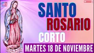 🌹TODAY'S SHORT HOLY ROSARY, TUESDAY, NOVEMBER 18TH🌹TAKE CARE OF ME, LITTLE VIRGIN