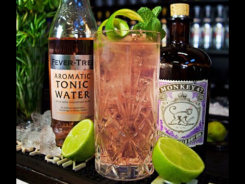 HOW TO MAKE COCKTAILS - GIN AND TONIC!