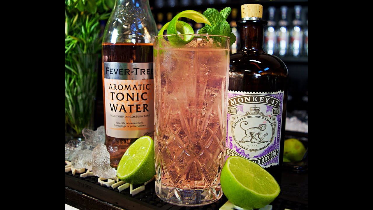 HOW TO MAKE COCKTAILS - GIN AND TONIC!