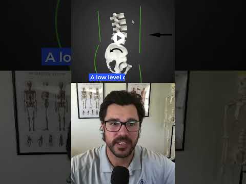 How Abs Pull Your Pubic Bone Into Optimal Position