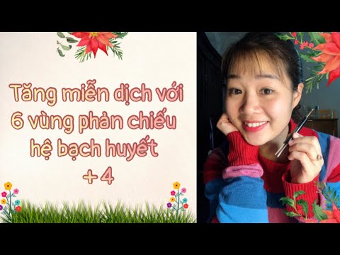 Video Tăng miễn dịch với 6 vùng phản chiếu hệ bạch huyết 4|... - youtube