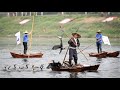 Fishing With Birds in China | 100 Birds fishing together