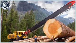 100 Incredible Dangerous Fastest Big Chainsaw Cutting Tree Machines
