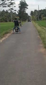 Story wa modifikasi beat new babylook ||#BARDALPROJECT