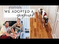 We Adopted A Greyhound! | Meet King 👑| Adopting a Retired Racing Greyhound