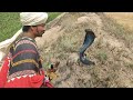 Snake fiaz jogi caught two dangerous snake black cobra at village  naag jogi new