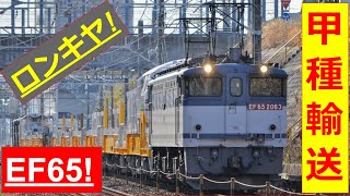 キヤE195系甲種輸送【通過シーン】(2021/2/21)9862レ EF65 2063＋キヤE195系+ヨヨヨ