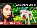 90% of My Dog&#39;s Bad Behavior GONE with THIS Method 🐶😲