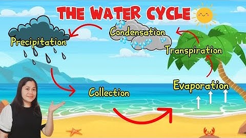 THE WATER CYCLE||Science Lesson|| Grade3, Grade4|| Video Lesson||Elementary||Tr. Alpha