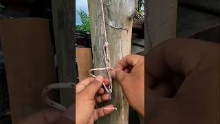 Save this knot trick before you need it!#RopeKnot #KnotTying #CampingTips