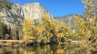 Autumn Fall Colors Yosemite National Park