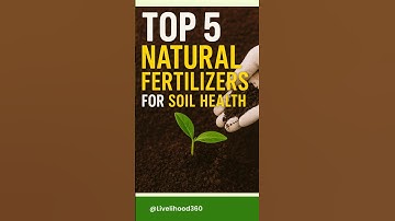 Top 5 Natural Fertilizers for Soil Health