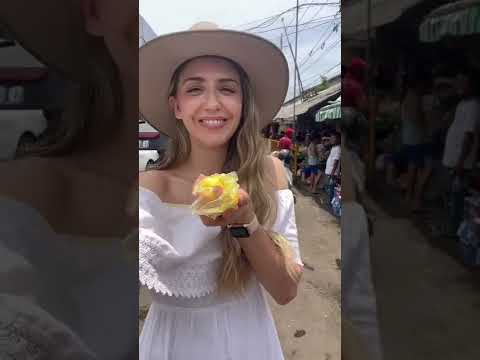 Exploring CEBU for