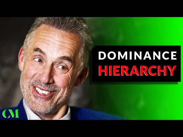 Jordan Peterson's DOMINANCE HIERARCHY How To RISE THE TOP! - YouTube