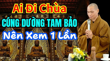 Ai thường đi chùa Cúng Dường Tam Bảo nên xem qua bài giảng này 1 lần | Thầy Trí Chơn