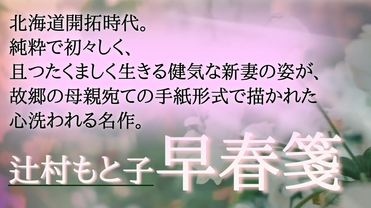 本 春の落葉 辻村もと子 限定本