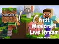 MinecraftFIRST LIVE STREAMOmlet ArcadeGameplay MinecraftFIRST LIVE STREAMOmlet ArcadeGameplay