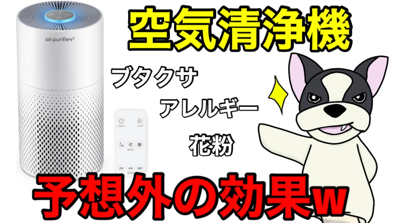 ブタクサ/花粉】Afloia 空気清浄機 20畳が予想以上に効果があった！！7