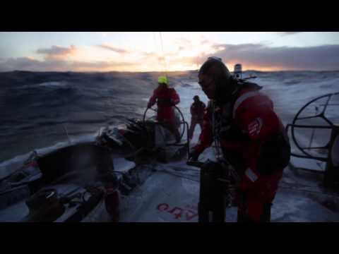 ● Southern Ocean