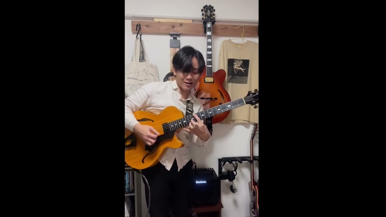 Westville Guitars Corona 純正ソフトケース (動画) Westville Corona - YouTube