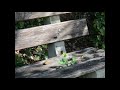 Sound of Silence