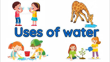 Uses of water | Importance of water | Water and it