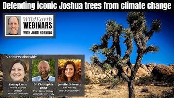 Defending iconic Joshua Trees from Climate Change