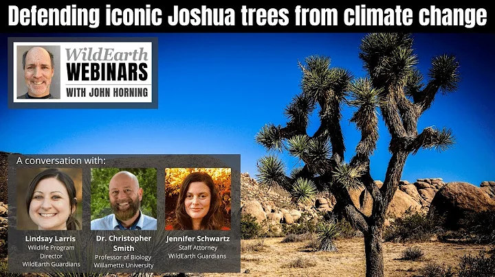 Defending iconic Joshua Trees from Climate Change