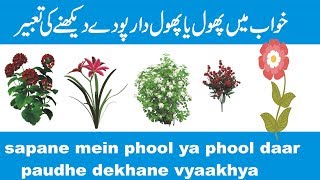 khwab mein phool dekhny ki tabeer خواب میں پھول دیکھنے کی تعبیر सपने में फूल देखने की व्याख्या