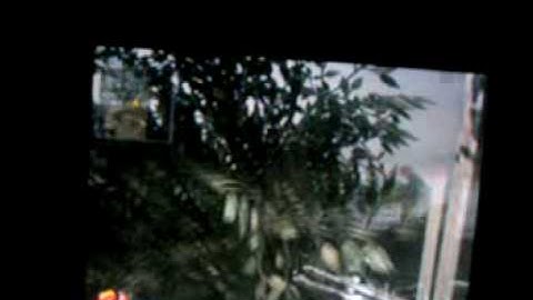 cod 5 glitches asylum